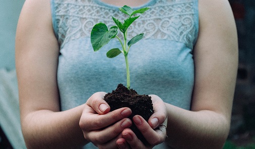 A woman holding a budding plant